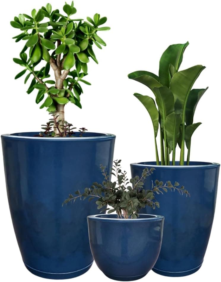 Kit 3 Vasos para Plantas